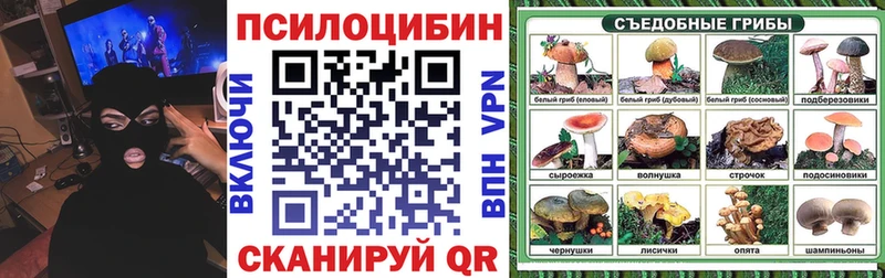 дарк нет клад  Асино  Псилоцибиновые грибы Cubensis  блэк спрут маркетплейс 