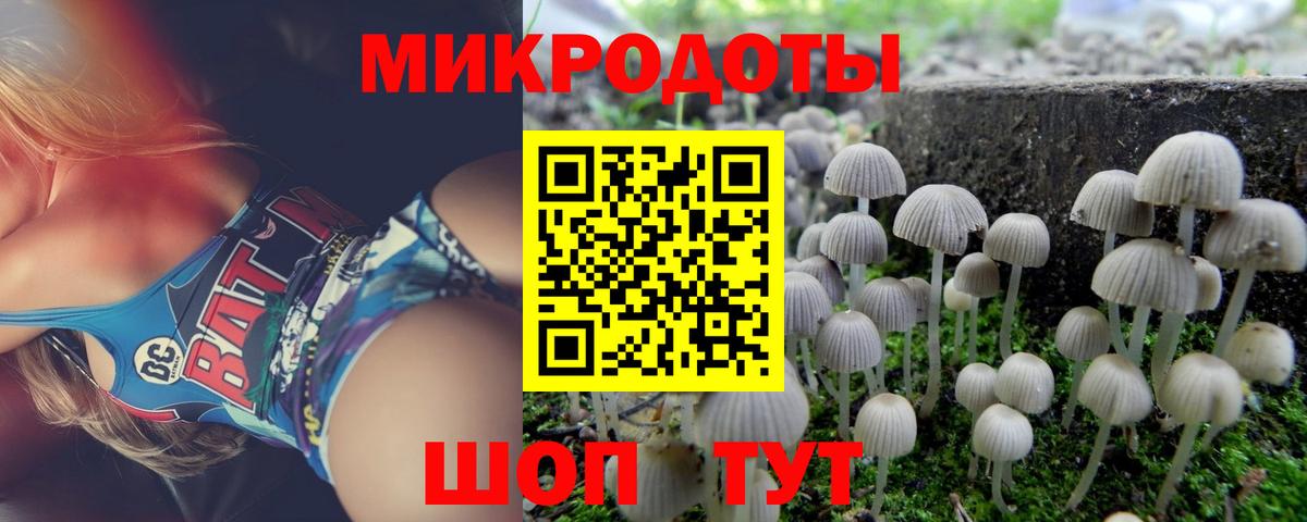Асино  Галлюциногенные грибы прущие грибы  Псилоцибиновые грибы Cubensis  Вход с VPN 
